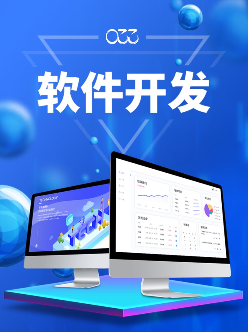 海南软件开发行业：乘风破浪的热带风暴