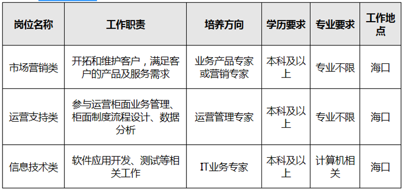 海口软件开发:引领信息化发展的新引擎